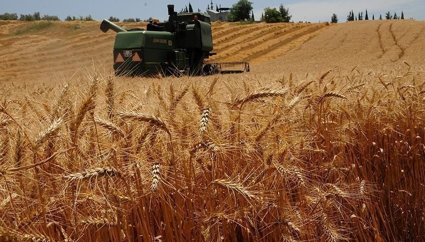 TARSİM nedir? (TARSİM’in açılımı)