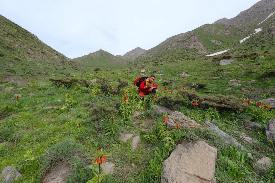 Hakkari’deki Şivişk Vadisi büyük ilgi görüyor