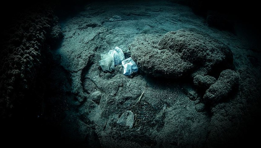 Mariana Çukuru’nda bile var! Okyanusun her katmanında mikroplastik izi