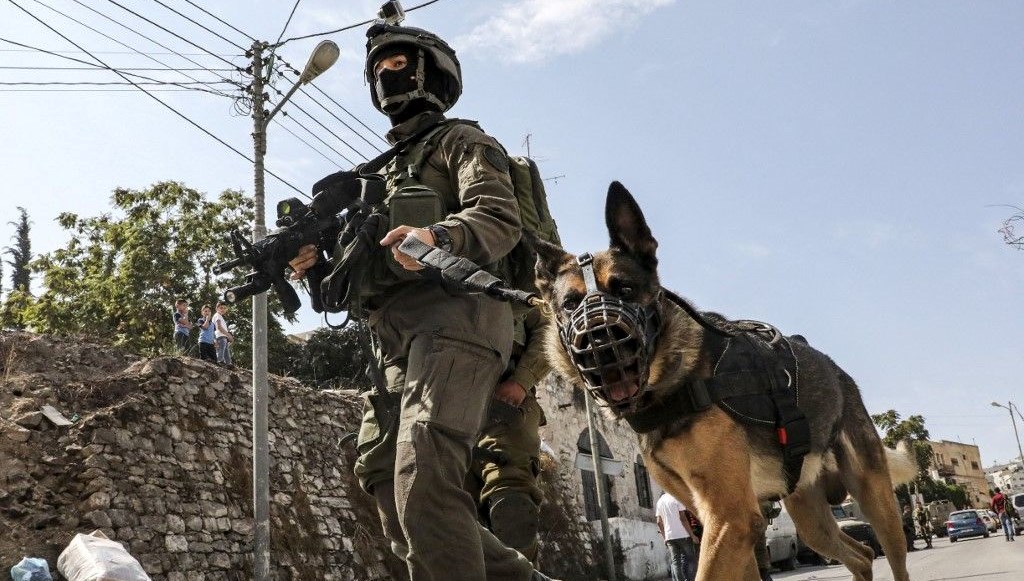 İsrail’in yeni silahı: Avrupa’dan “saldırı köpekleri” gönderiliyor