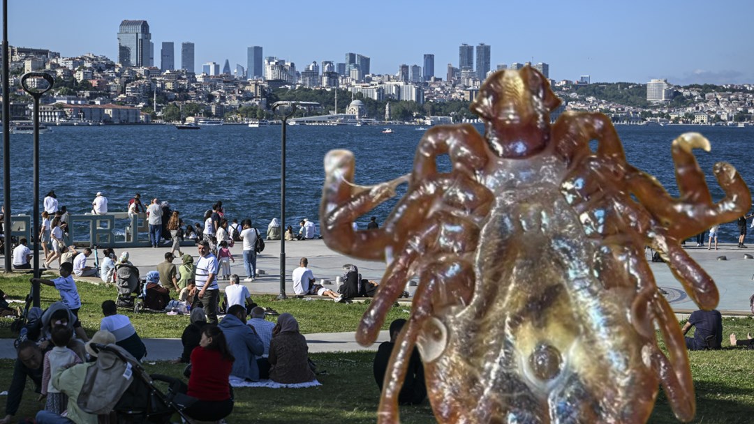 İstanbul’da tedirgin eden artış: Ense, koltuk altı ve diz arkalarına dikkat!