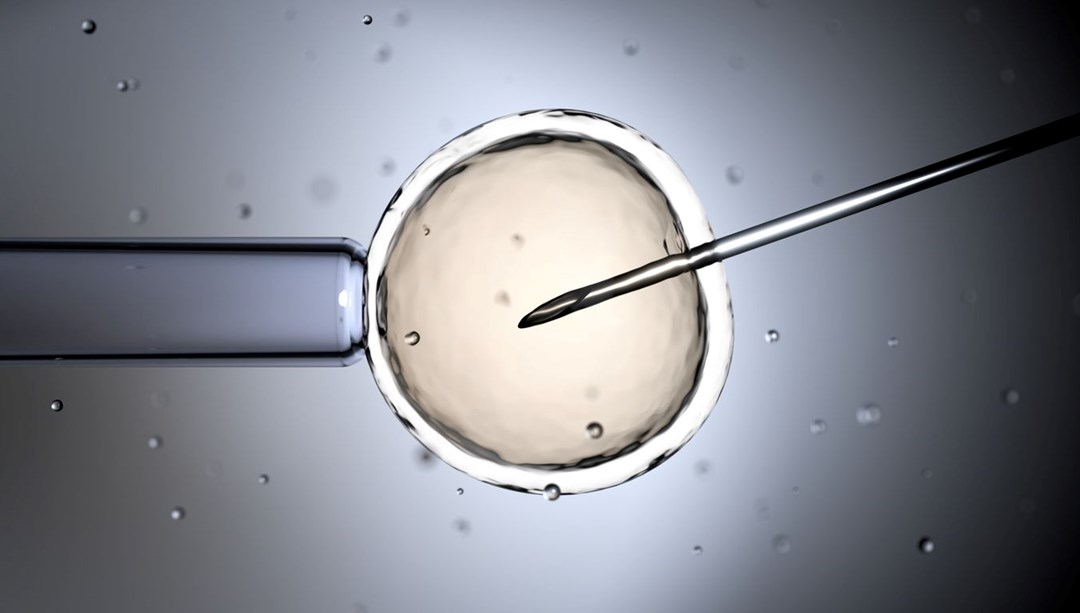 Anne, baba ve bir genetik donör: Ölümcül hastalıklar tarih oluyor