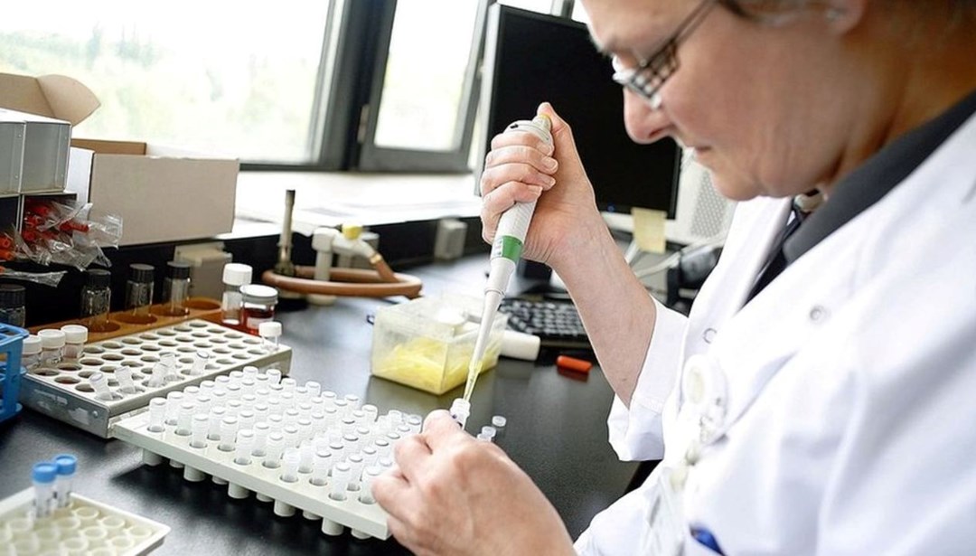 Antibiyotiklere dirençli bakteriler milyonlarca ölüme neden olabilir