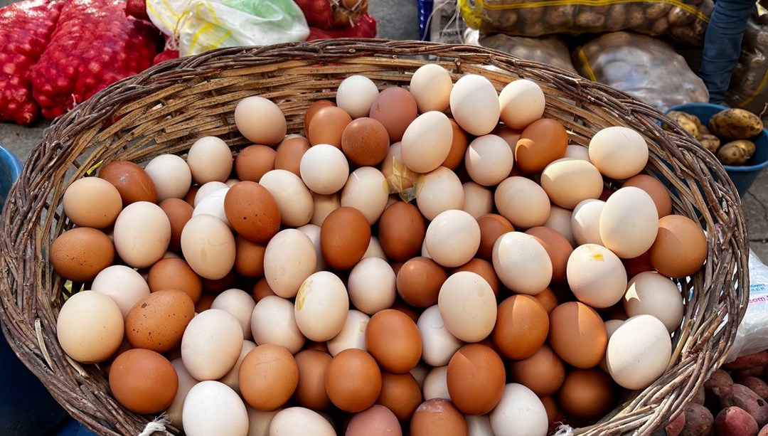 Beyaz mı, yoksa kahverengi yumurta mı: Hangisi daha sağlıklı?