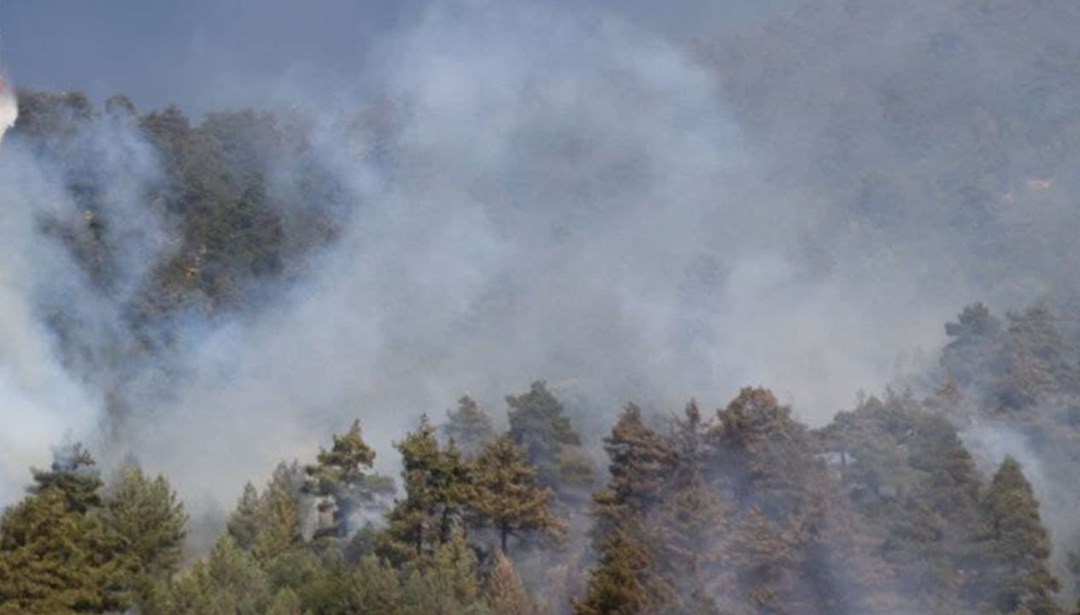 İtalya’nın Sardinya Adası’nda 20 farklı noktada orman yangını çıktı