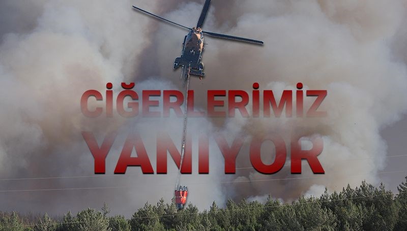 İzmir’de orman yangınları sürüyor: Ödemiş, Buca ve Çeşme’de son durum
