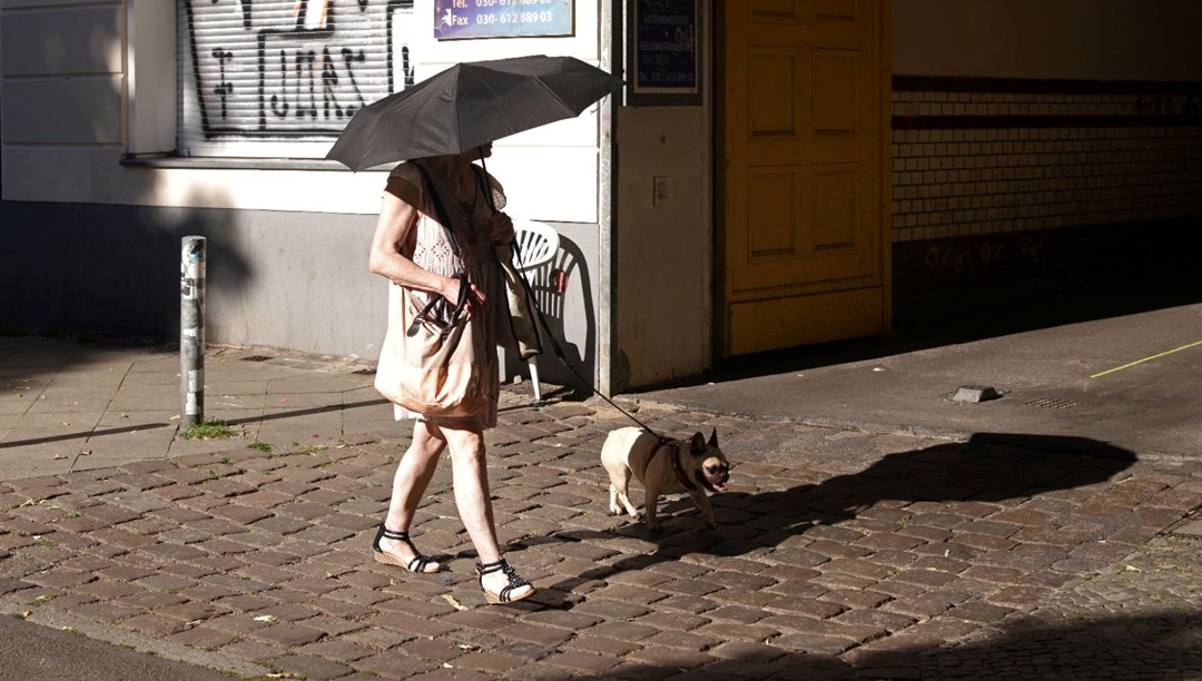 Uzmanlardan uyarı: Köpekler de güneş gözlüğü takmalı, güneş kremi kullanmalı