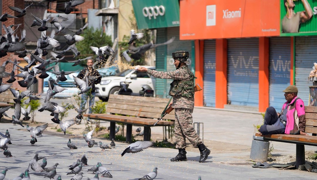 Hindistan’da güvercin beslemek yasaklandı: Sağlık krizi kapıda