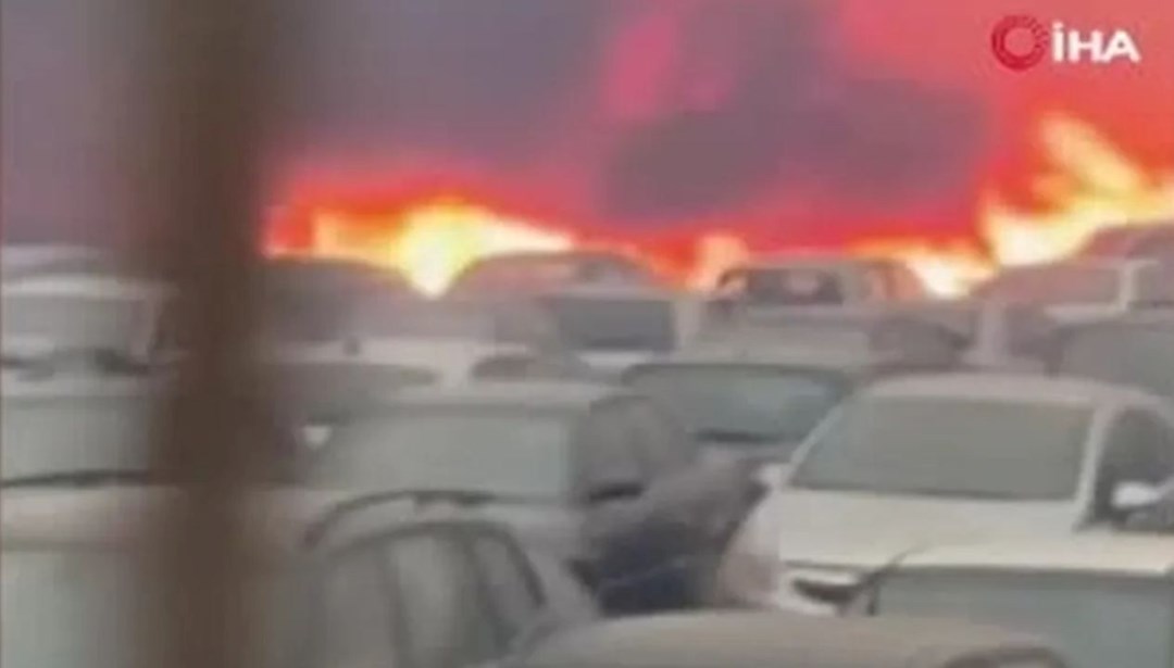 Yunanistan’da orman yangını: 550 araç küle döndü