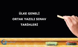 Açık Öğretim Okulları 3. Dönem Sınav Sonuçları Açıklandı