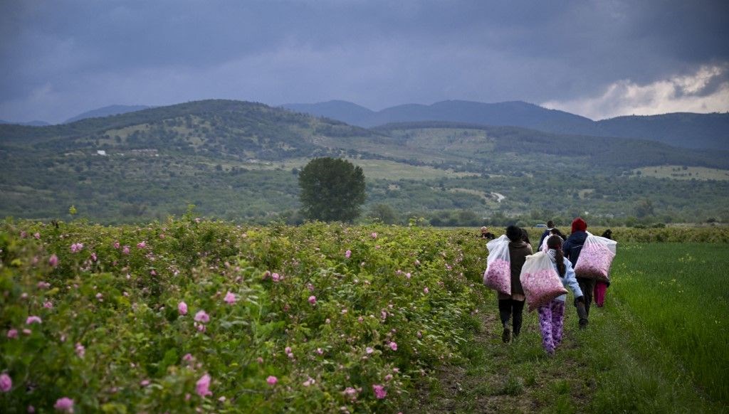 Avrupa’nın en az yaşayanları Bulgarlar