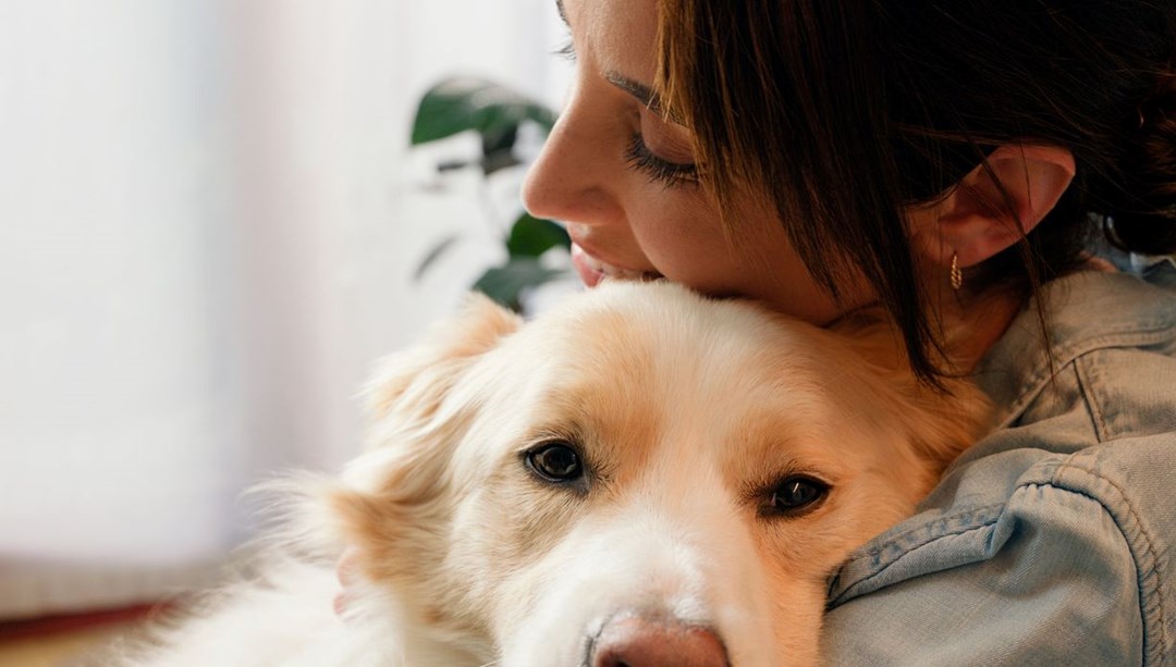Araştırma: Köpekler biyolojik yaşlanmayı yavaşlatabilir