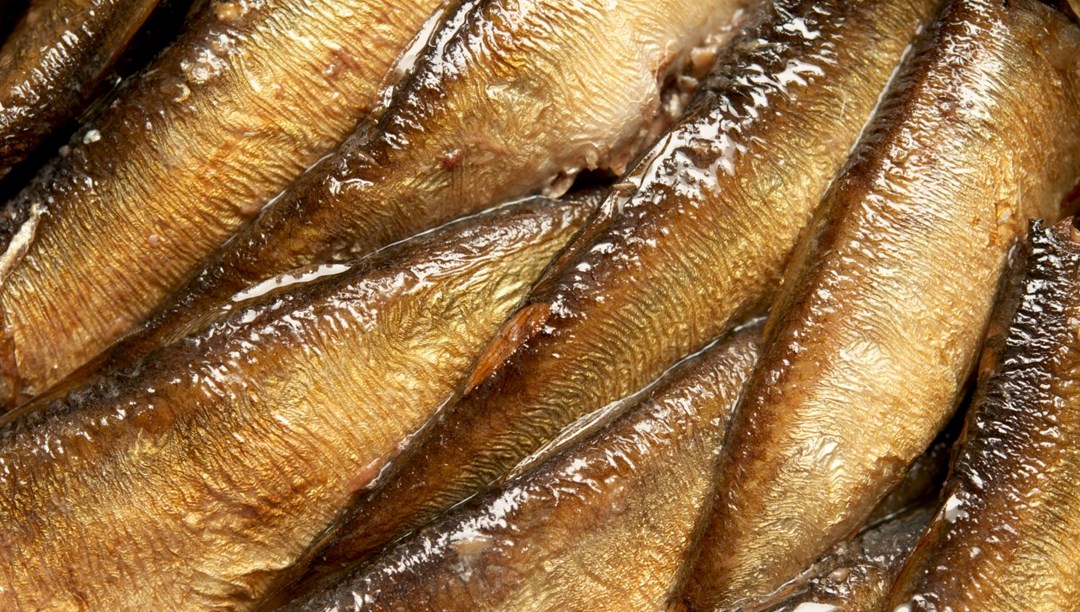 Beyin yaşlanmasını önlüyor: Uzmanlara göre hafızayı güçlendiren 8 vitamin