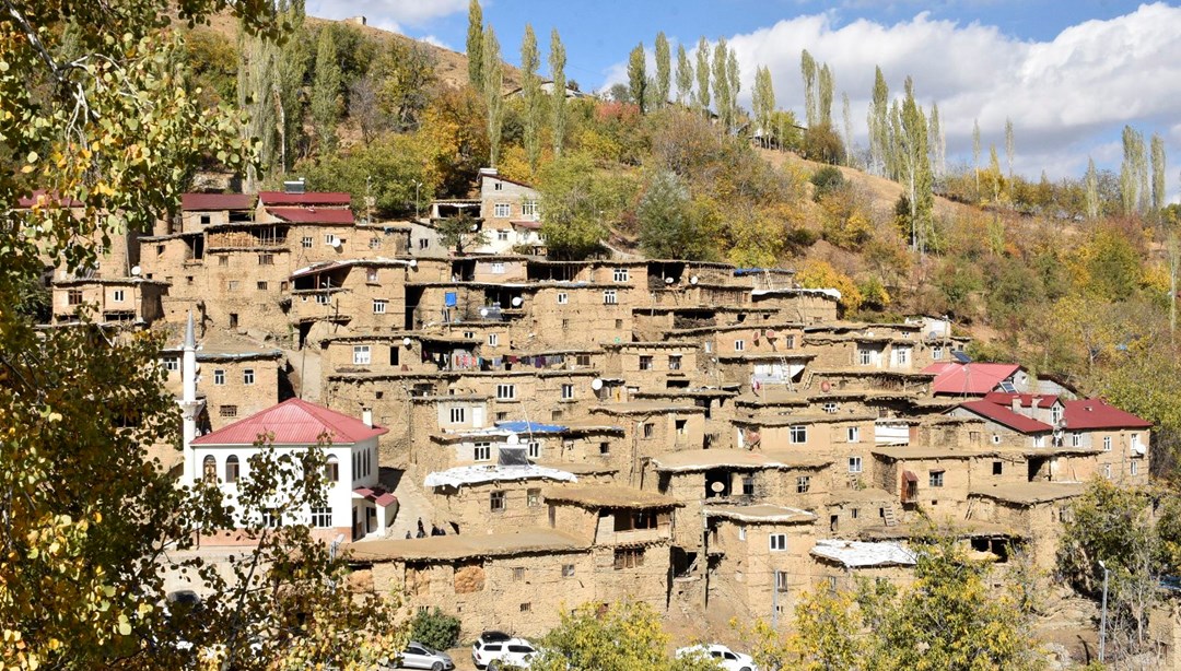 Bitlis’te 300 yıllık taş yapıların korunması için çalışma başlatılacak