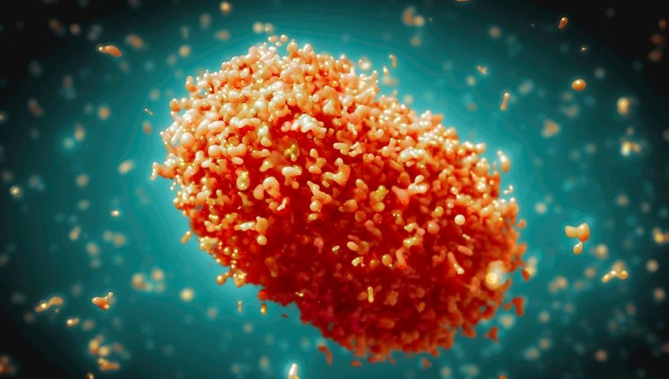 DSÖ’den M çiçeği virüsü uyarısı: Varyantı Afrika’nın ötesine yayıldı