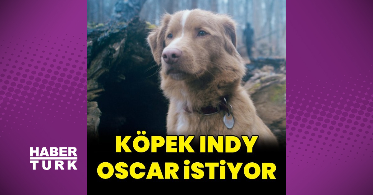 Filmin köpek yıldızı Oscar istiyor