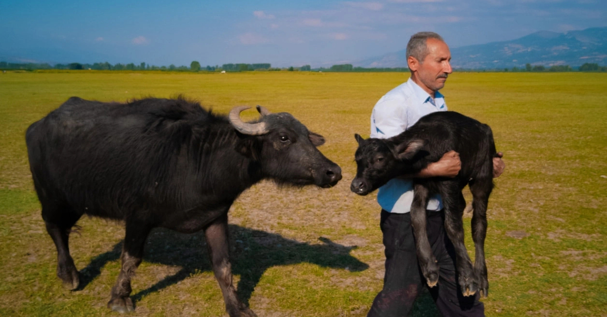 Tokatlı Mehmet Emin Coruş dünya ikincisi