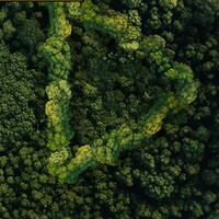 Yeşil Vatan Kısa Film Yarışması’nda son başvuru tarihi 30 Kasım