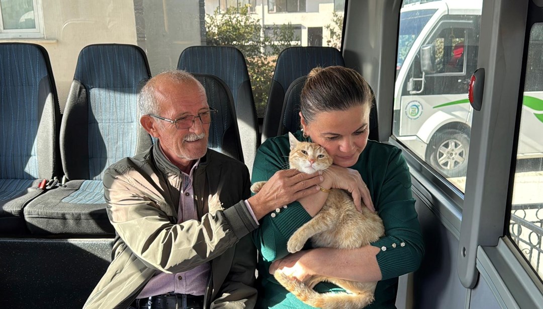 ”Yolcu” isimli kedi, dolmuş durağının maskotu oldu